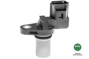 Nokkenassensor 81461