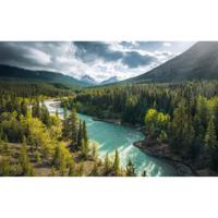 Fotobehang - Wild Canada 450x280cm - Vliesbehang