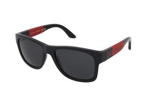 Zonnebrillen Polo Ralph Lauren PH4162 500187