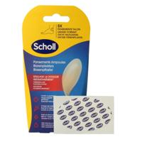 Scholl Blarenpleister hiel large Scholl Blarenpleister hiel large