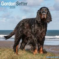 Gordon Setter Kalender 2026