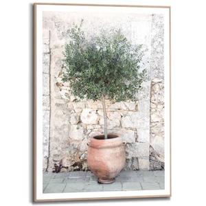 Reinders - Olive Tree - Schilderij 70x50cm Hout