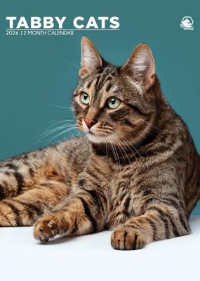 Cyperse A3 Katten Kalender 2026