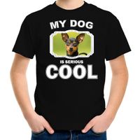 Honden liefhebber shirt Dwergpinscher my dog is serious cool zwart voor kinderen XL (158-164)  -