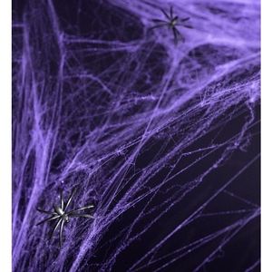 Paarse spinnenwebben Halloween decoratie/versiering 100 x 200 cm   -