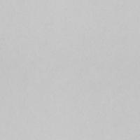 Dutch Wallcoverings Fagelsang - Uni Morning Haze