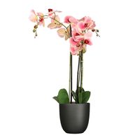 Orchidee kunstplant roze - 75 cm - inclusief bloempot titanium grijs glans - thumbnail