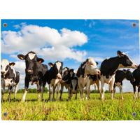 Tuinposter Voorjaar 2 - Pillow Buddies