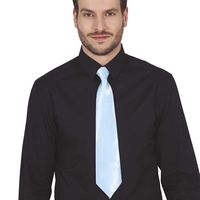 Carnaval verkleed stropdas - blauw - polyester - volwassenen/unisex   -