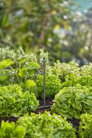 MDS Verlengbuis voor sproeiers - Gardena