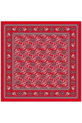 Boerenzakdoek waaiermotief