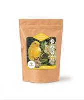 UTOPIA KANARIES TOP QUALITY