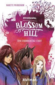 Een stormachtige start (Hardback)