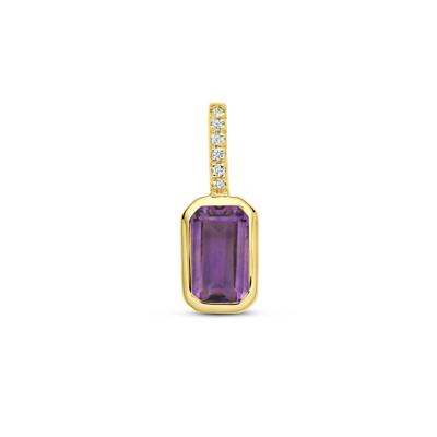 14k Geelgouden Hanger met Amethist en Diamant 0.012ct (Februari)