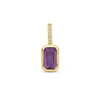14k Geelgouden Hanger met Amethist en Diamant 0.012ct (Februari)