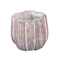 PTMD bloempot valerio xs paars 9 cm | 24 stuks