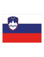 Printwear FLAGSI Flag Slovenia