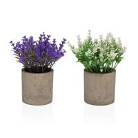 Decoratieve plant Versa Ijzer Textiel Plastic 7 x 16 cm
