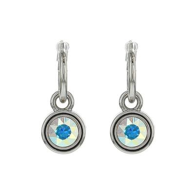 Biba Hang Oorbellen met Swarovski Steentje Crystal AB