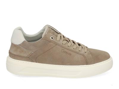 Greve Delft 2131.03 3331 roccia Beige maat 41 Greve Delft 2131.03 3331 roccia Beige maat 41