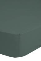 Good Morning Hoeslaken, Groen - (90x200 cm) - Katoen