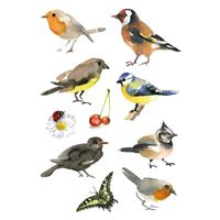 30x Vogels dieren stickers - thumbnail