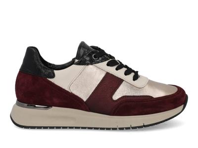 Gabor 76.445.95 mutaro mulberry Multi maat 38.5