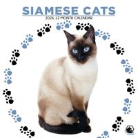Siamees Kalender 2026