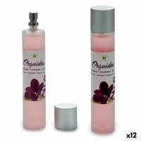 Luchtverfrisserspray Acorde 100ML SPRY-ORQ Orchidee 100 ml (12 Stuks)