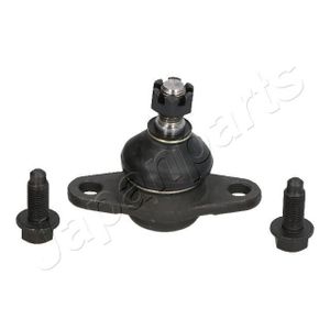 Fuseekogel BJ216