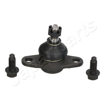 Fuseekogel BJ216