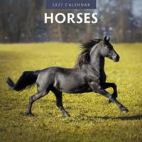 Paarden Kalender 2027