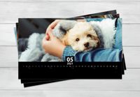 Vul je designhouder met nieuwe foto&apos;s Panorama