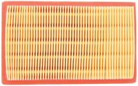Tecnium Air filter 16756