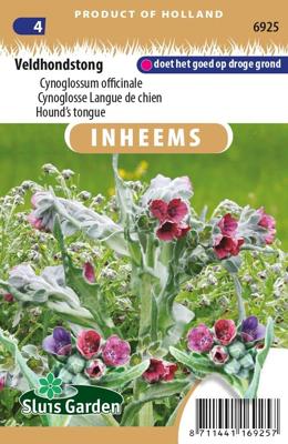 Inheemse Cynoglossum officinale Veldhondstong zaden