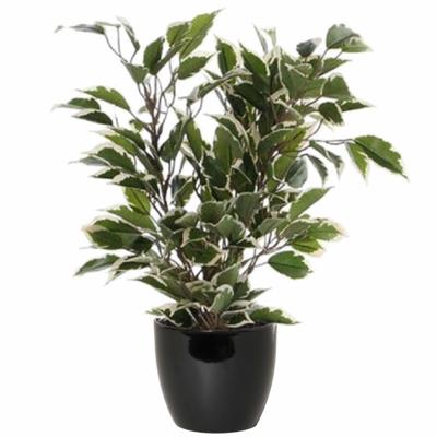 Mica Decorations Ficus kunstplant - groen - 40 cm - met plantenpot - zwart - D13.5 en H12.5 cm