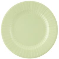 Feestbordjes/BBQ bordjes - 8x - mintgroen - rond - papier/karton - 27cm