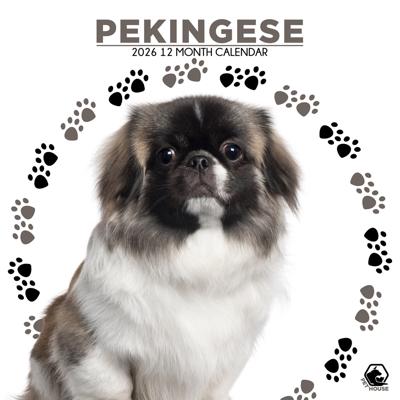 Pekingees Kalender 2026