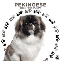 Pekingees Kalender 2026