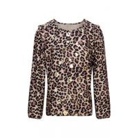 Dreamstar - Bruin | Dames | Top | Bruin | S | regular | Kamst mode
