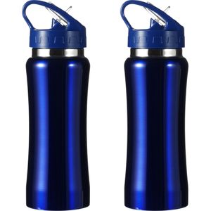 Set van 2x stuks luxe Drinkfles/waterfles 600 ml blauw van RVS