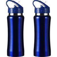 Set van 2x stuks luxe Drinkfles/waterfles 600 ml blauw van RVS - thumbnail