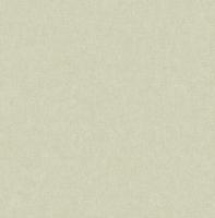Dutch Wallcoverings Sauvage Uni - Lichtgroen