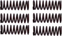 TRW Clutch spring kit mef302-6