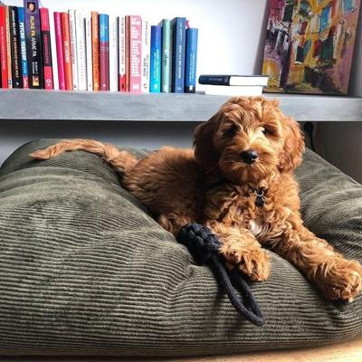 Dog's Companion® Hondenbed hunting ribcord small Dog's Companion® Hondenbed hunting ribcord small