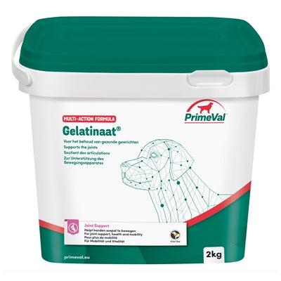 Primeval gelatinaat hond