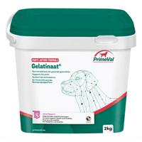 Primeval gelatinaat hond