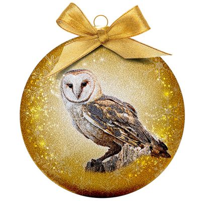 2x Kunststof dieren kerstballen met uil 8 cm   -