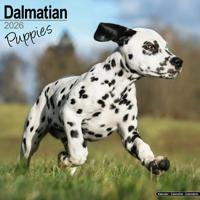 Dalmatier Puppies Kalender 2026