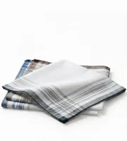 Tiseco12 stuks heren zakdoeken - White Summer 40x40 cm